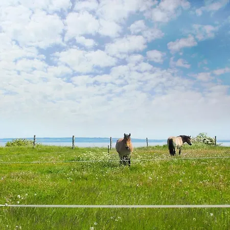Appartement Ferienresidenz Kap Arkona Ferienwohnung 12 *