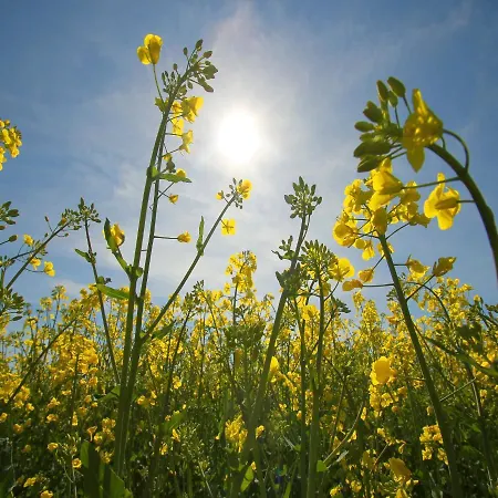 Appartement Ferienresidenz Kap Arkona Ferienwohnung 12 Putgarten